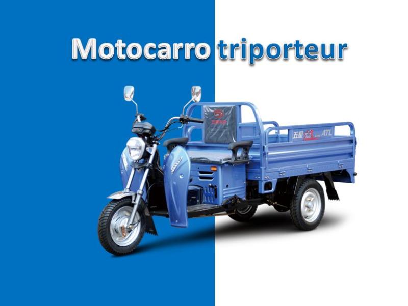 Motocarro triporteur carguero-Weichai lovol 110CC