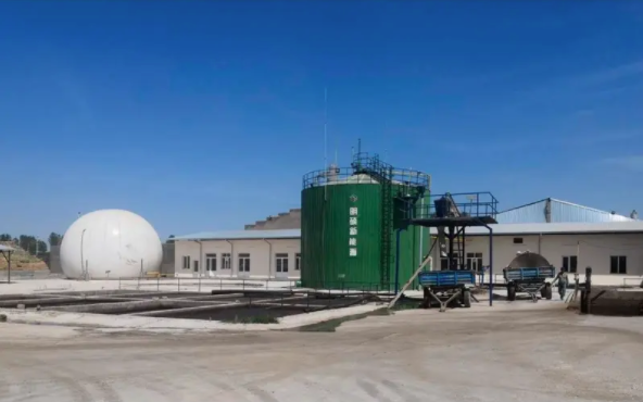 Biogas Anaerobic Digester Plant for Pig Manure Treatment