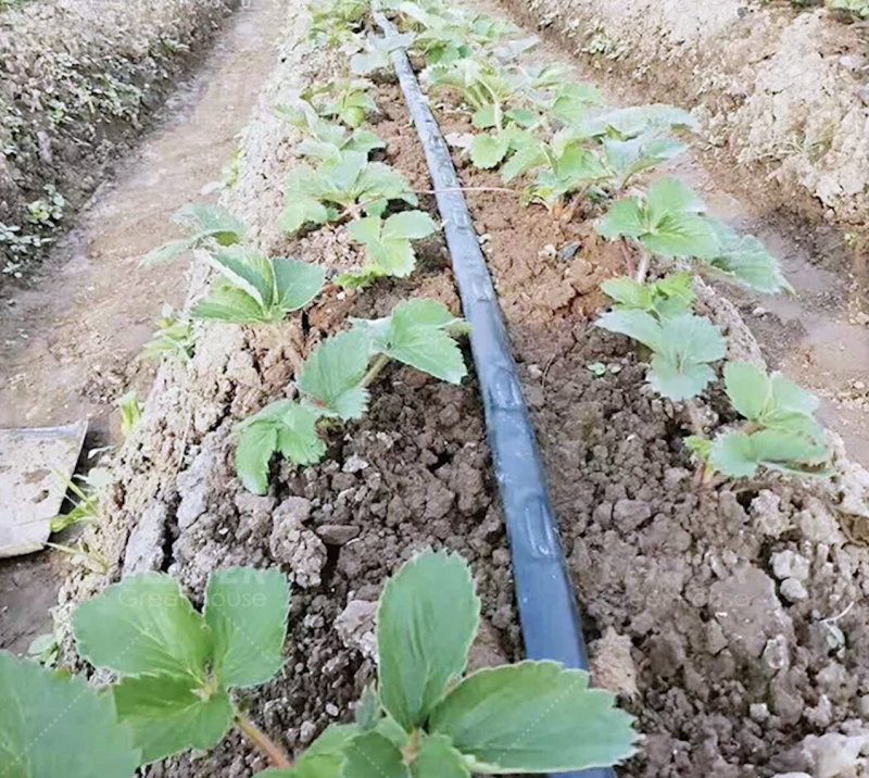 Agriculture farm irrigation system design 12 mm flat drip irrigation tape