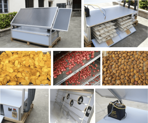 Harnessing Solar Energy: A Detailed Guide to Drying Fruits, Vegetables, and Herbs using a Solar Dryer